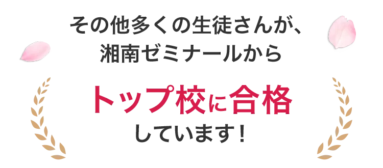 その他多くの生徒さんが、湘南ゼミナールからトップ校に合格しています！